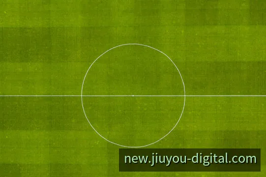 九游体育2026新版本超导蓝电架构与多终端视觉预览